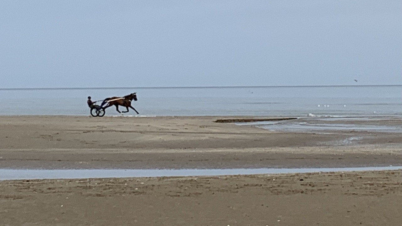 Photo of Others in Benerville-sur-Mer