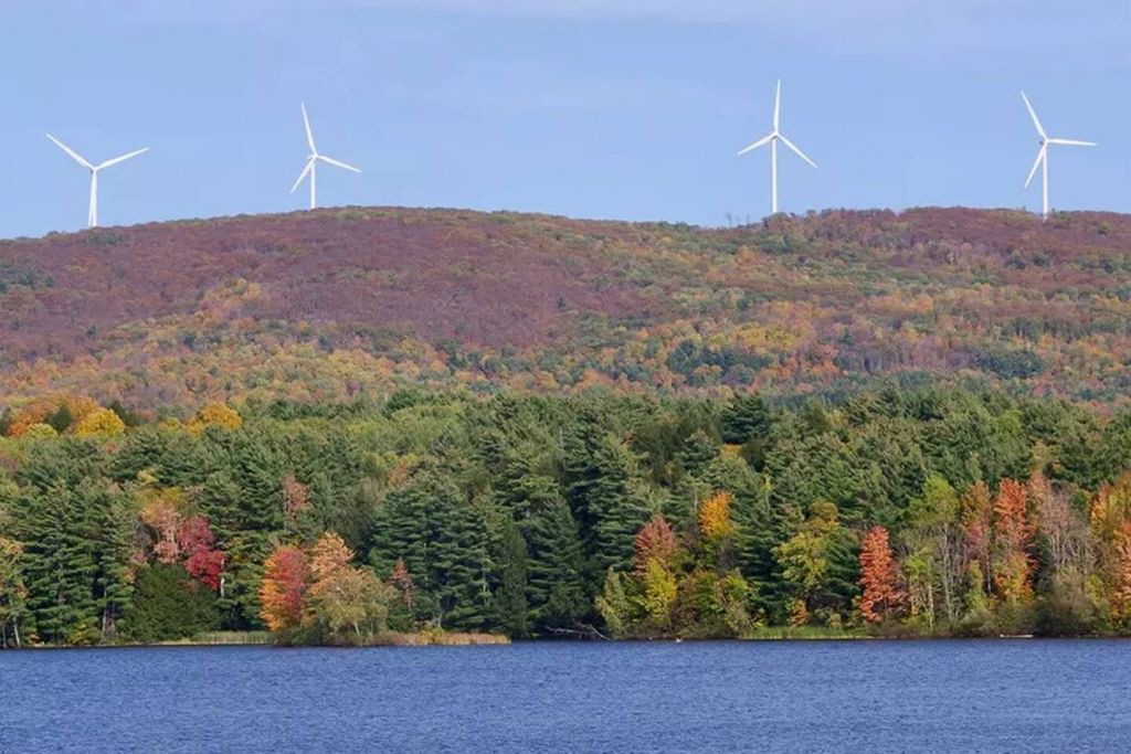 Photo of Outdoor in Milton