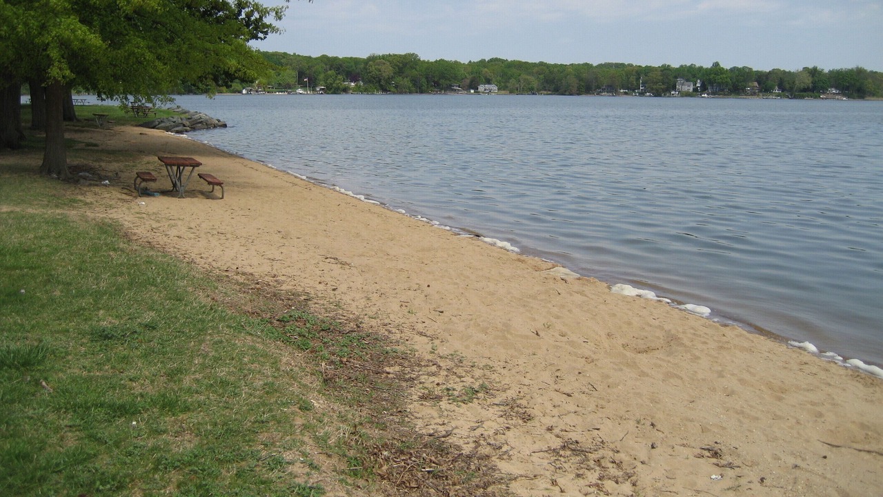 Photo of Others in Edgewood
