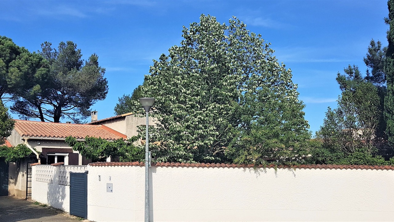 Photo of Outdoor in Les Hauts de Villeneuve