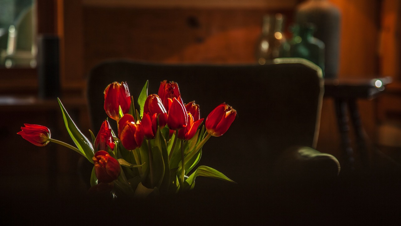 Photo of Others in Keene Valley