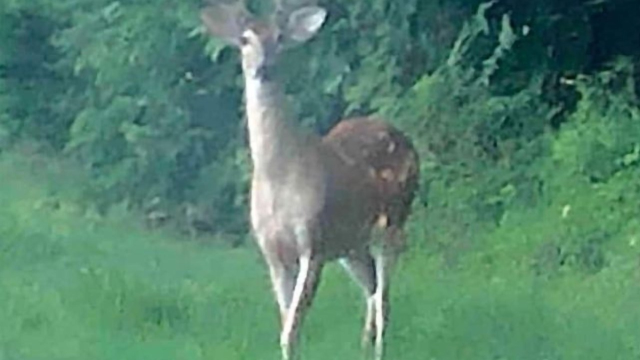 Photo of Outdoor in Eagle Rock