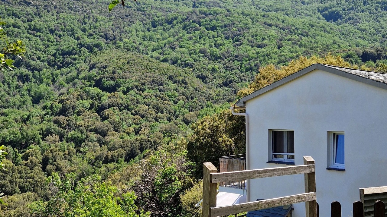 Photo of Outdoor in Pietracorbara