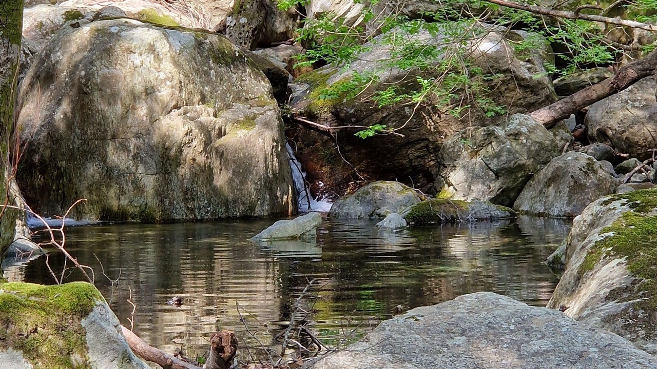 Photo of Outdoor in Pietracorbara