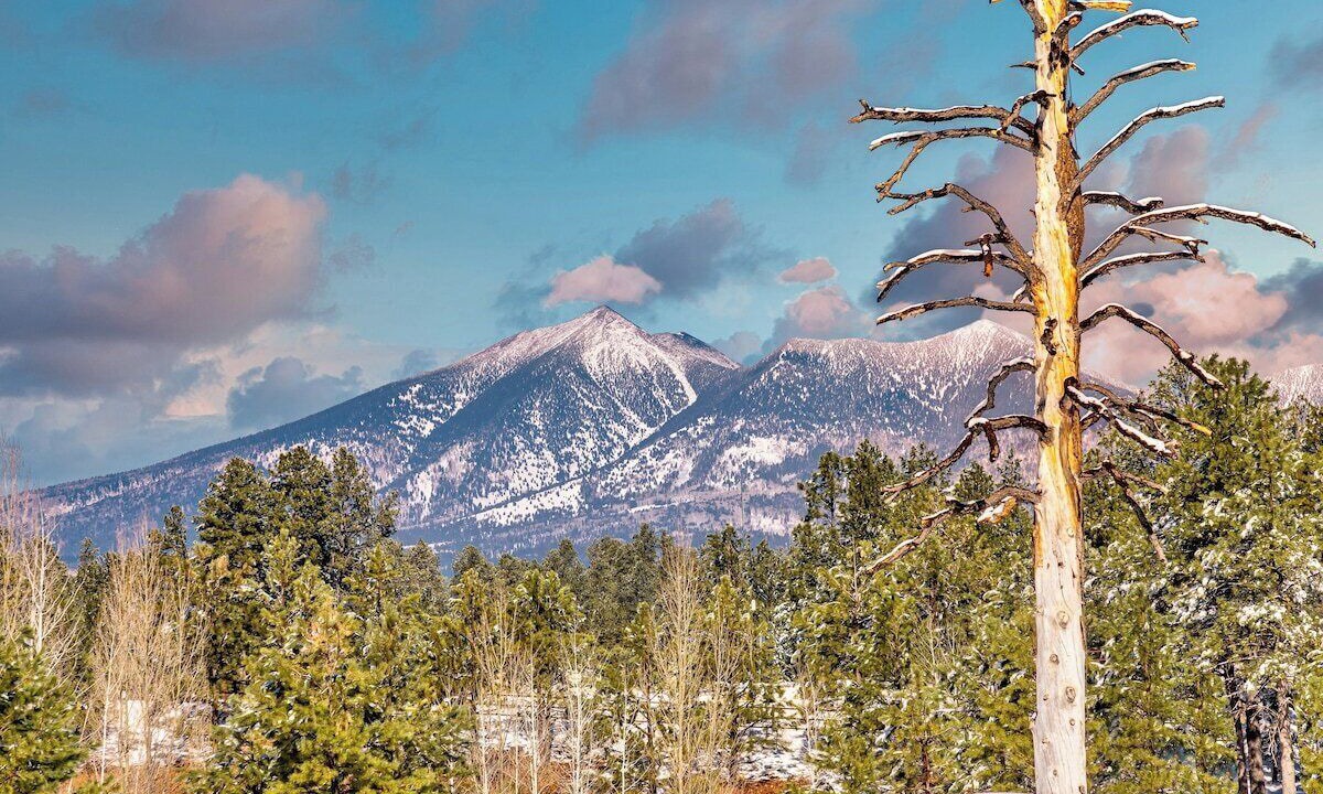 Photo of Others in Flagstaff