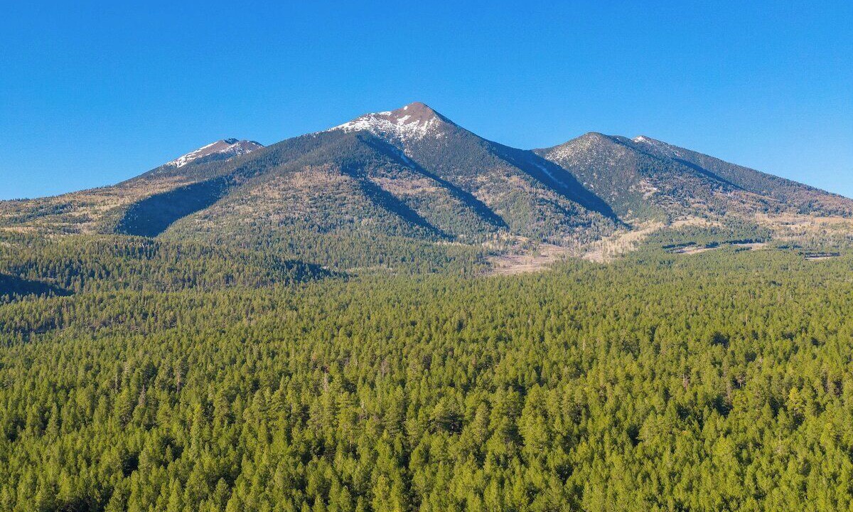 Photo of Outdoor in Flagstaff