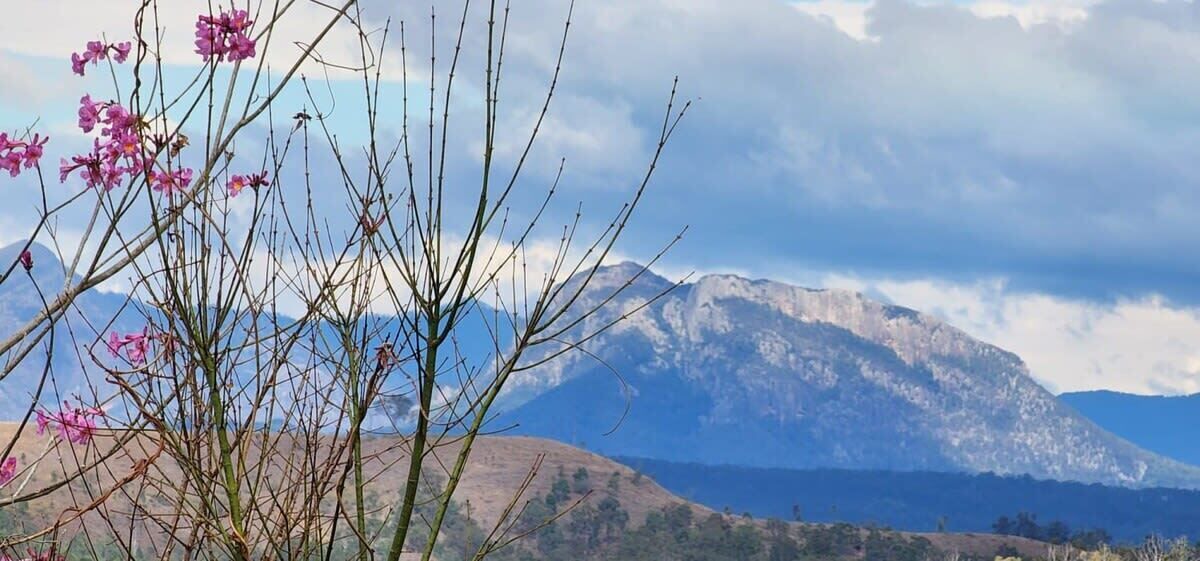 Photo of Others in Kooralbyn