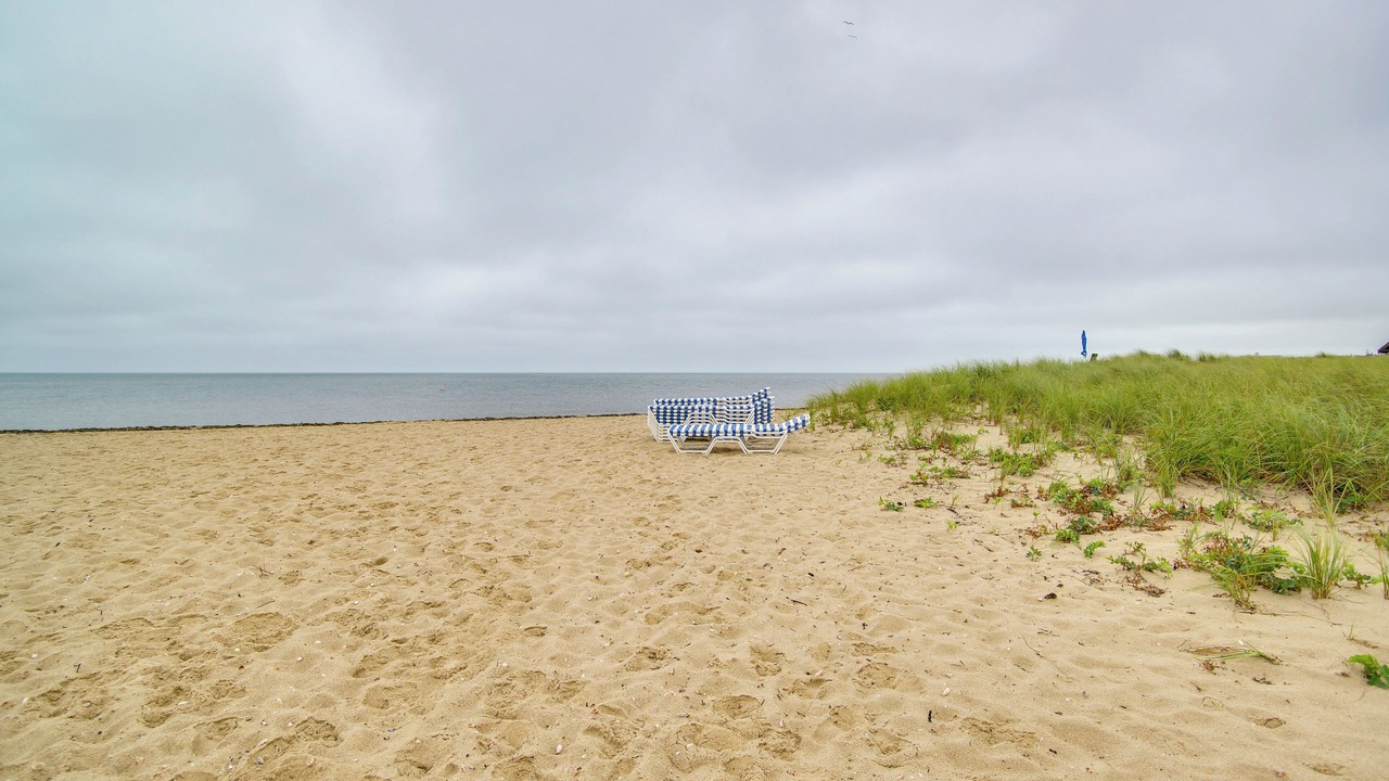 Photo of Others in Northwest Harwich