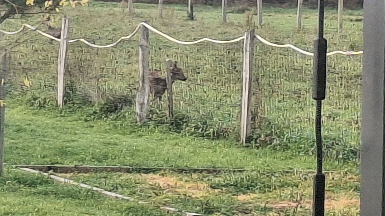 Photo of Outdoor in Montgivray