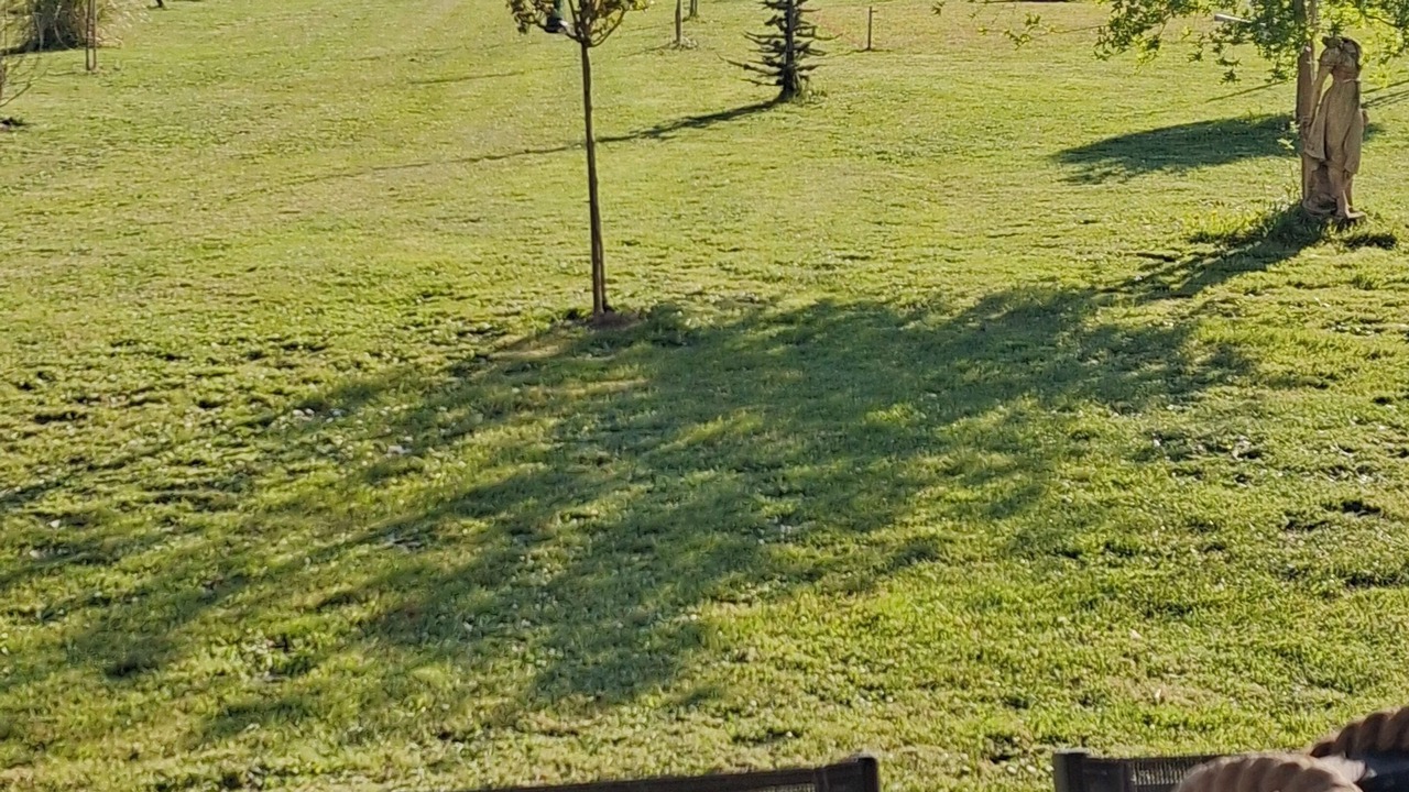 Photo of Outdoor in Montgivray