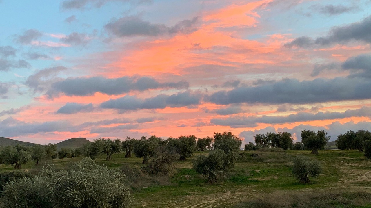 Photo of Outdoor in Burguillos de Toledo