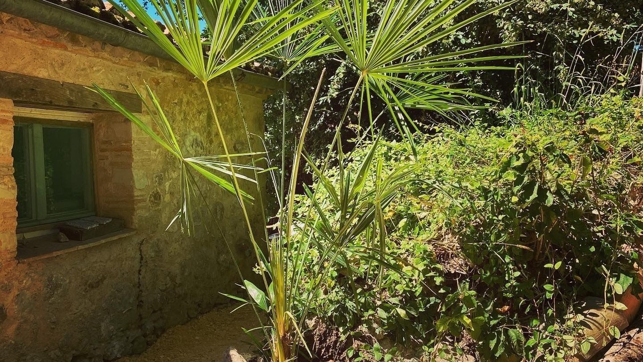 Photo of Outdoor in Beaugas