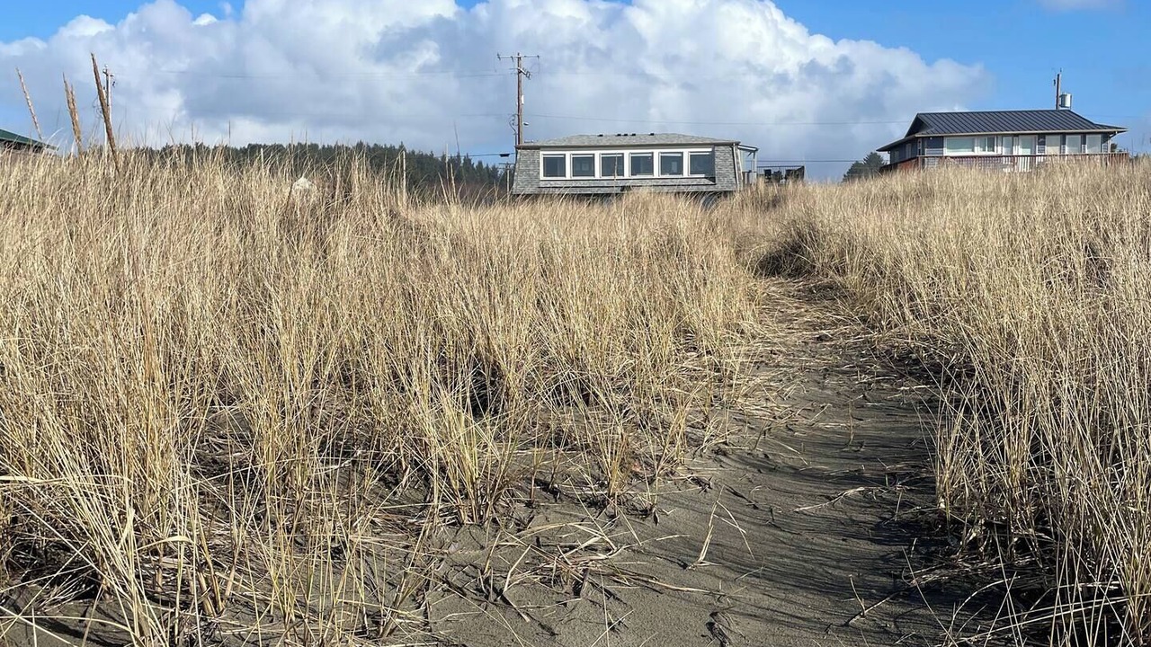 Photo of Others in Moclips