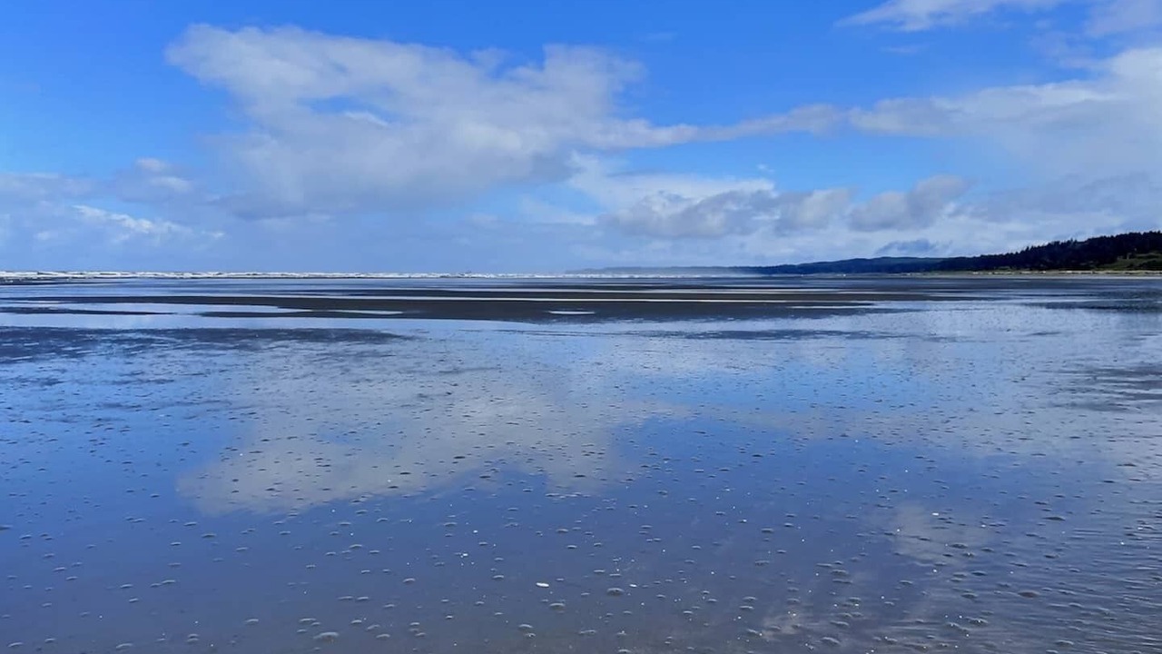 Photo of Others in Moclips