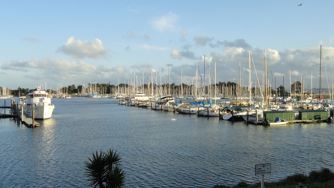 Photo of Others in Berkeley