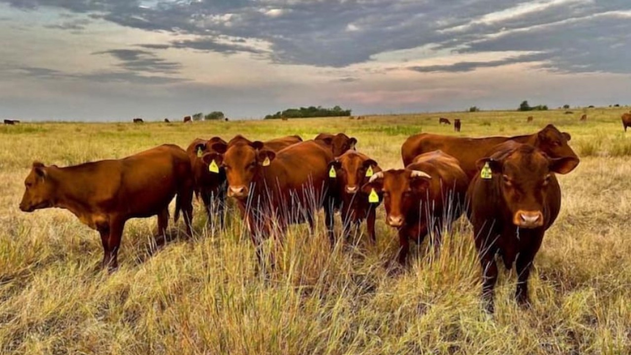 Photo of Others in Rogers
