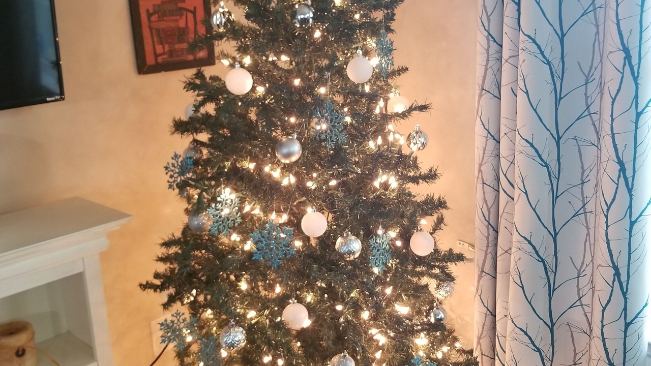 Photo of Others in Annville