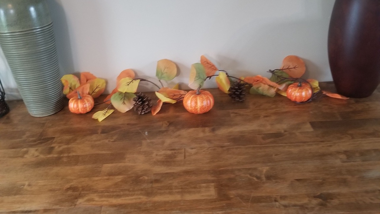 Photo of Others in Annville