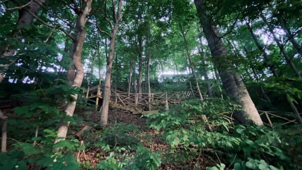 Photo of Outdoor in Sloans Valley