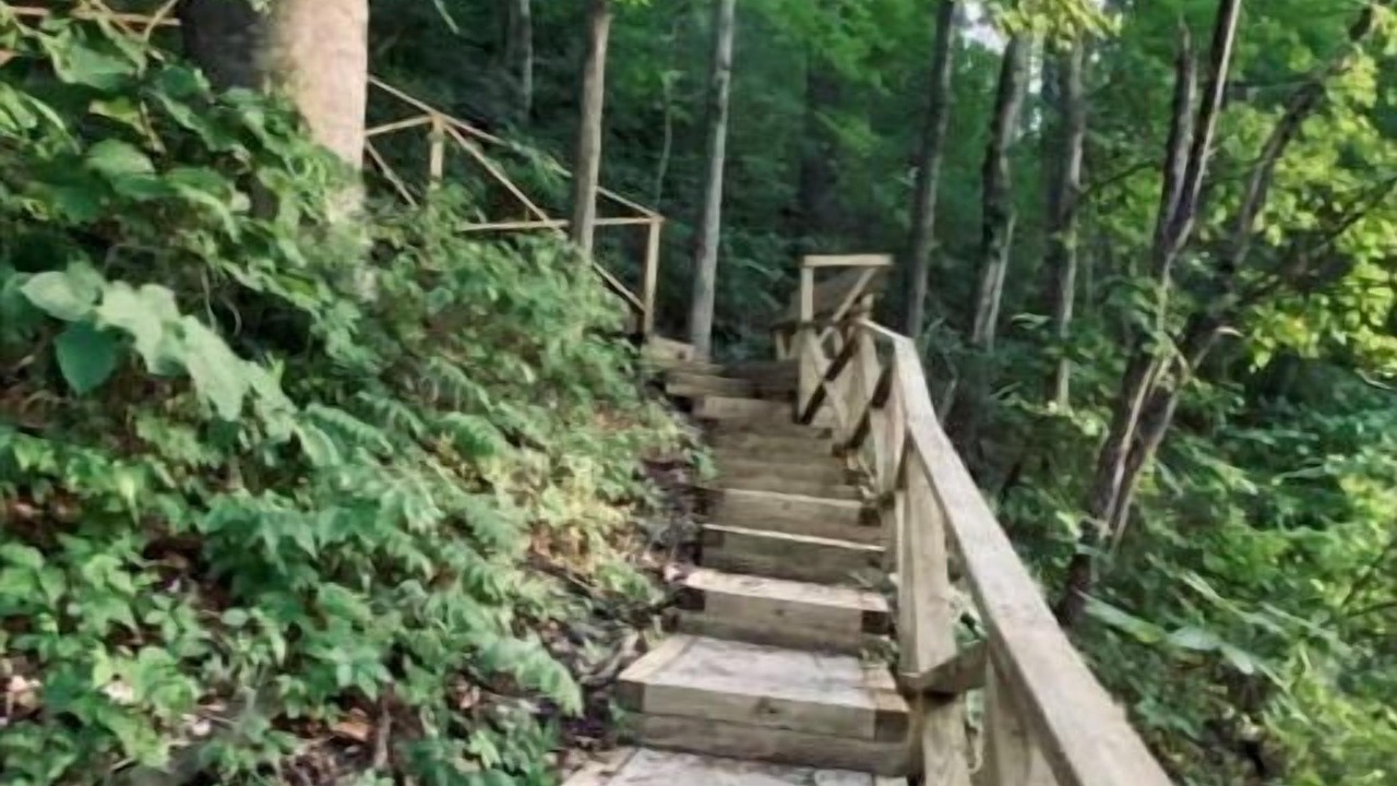 Photo of Outdoor in Sloans Valley