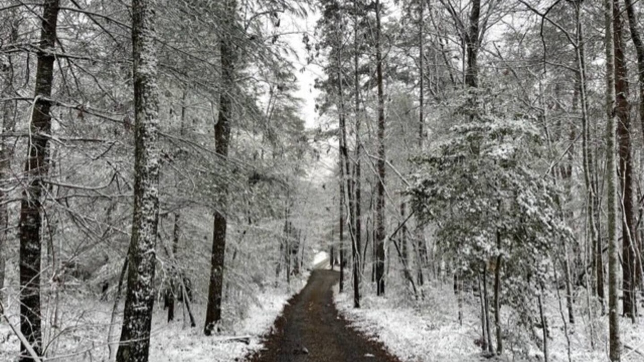 Photo of Outdoor in Morganton