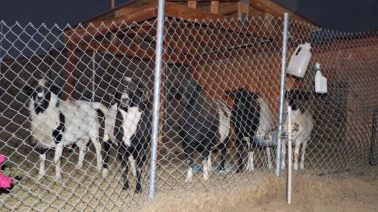 Photo of Outdoor in Hemet