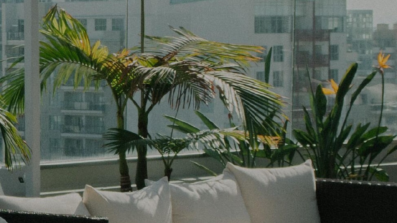 Photo of Outdoor in Beverly Hills