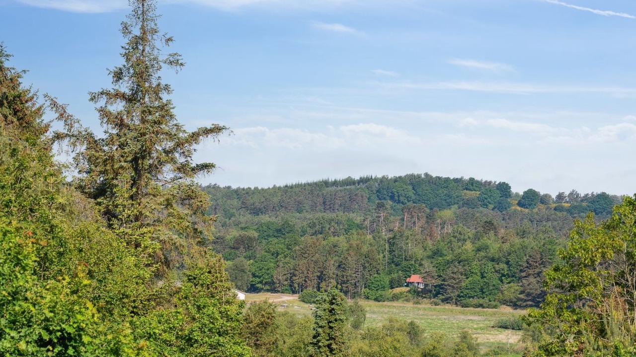 Photo of Others in Femmøller