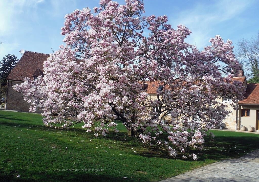 Photo of Outdoor in Hargeville