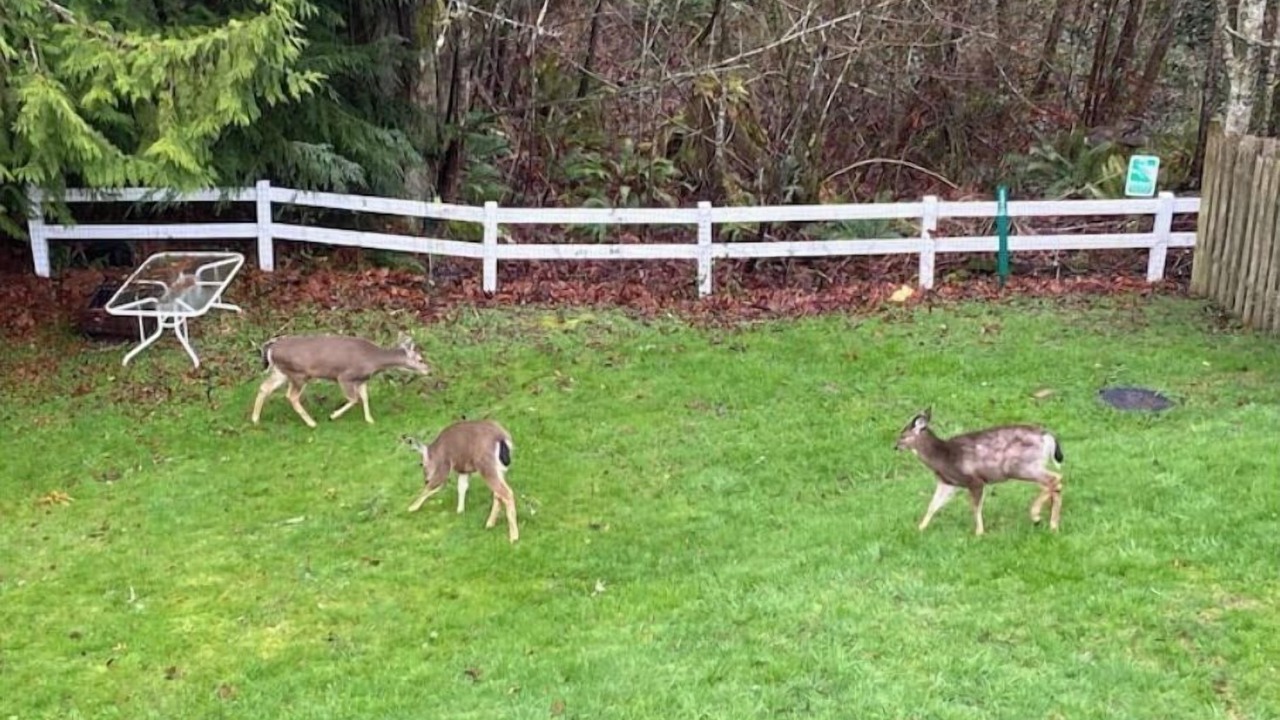 Photo of Outdoor in Marysville