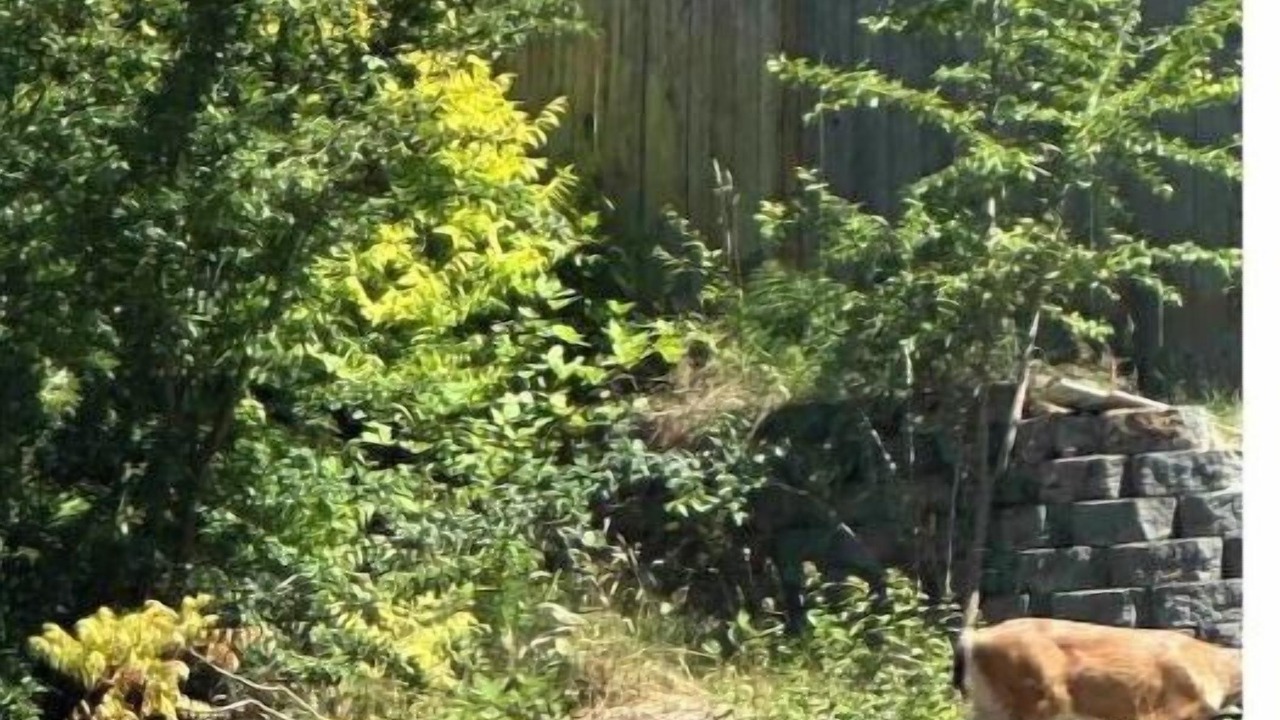 Photo of Outdoor in Marysville