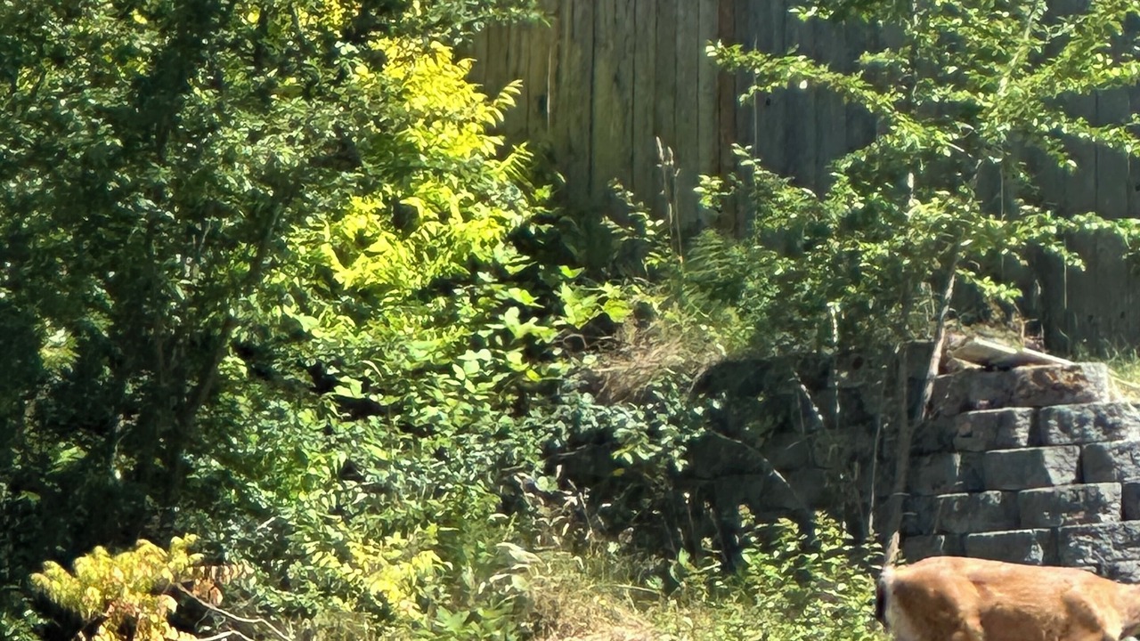 Photo of Outdoor in Marysville