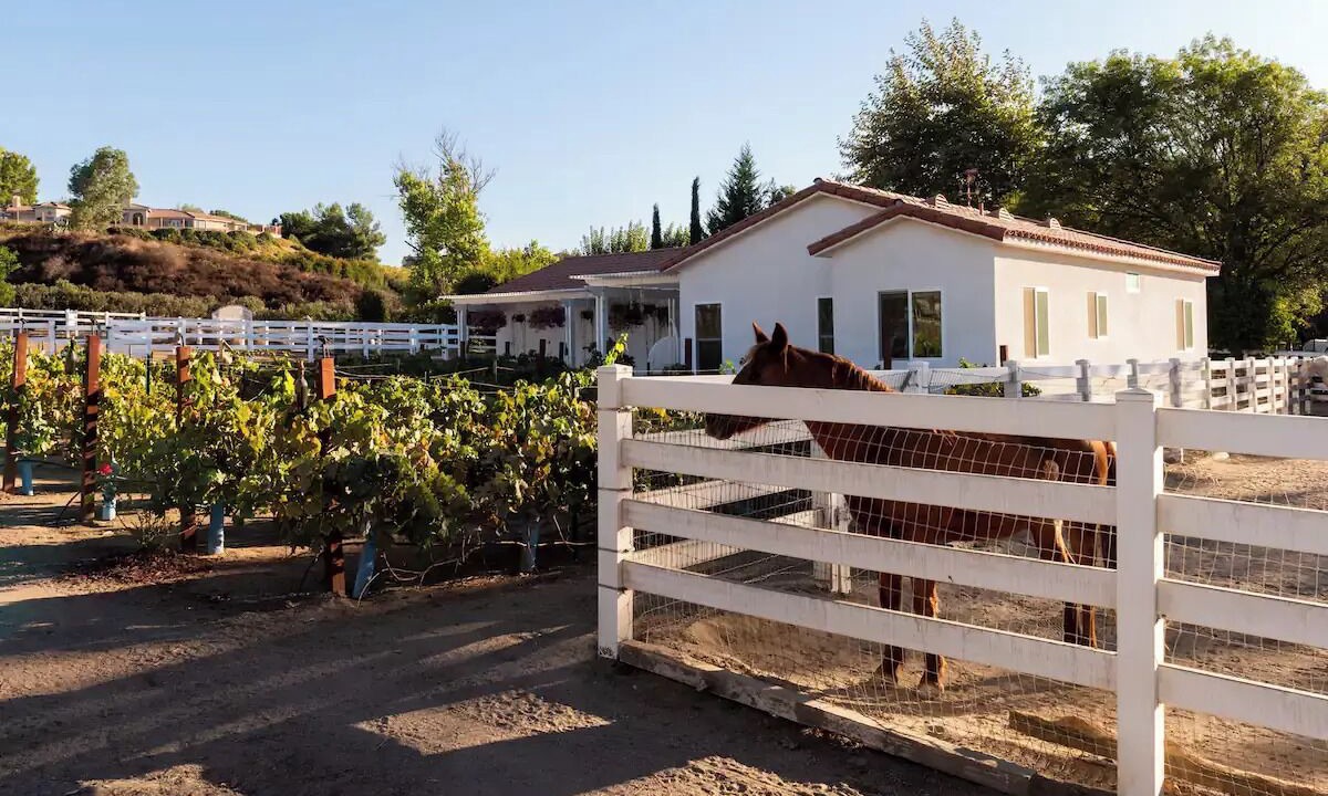 Photo of Outdoor in Temecula