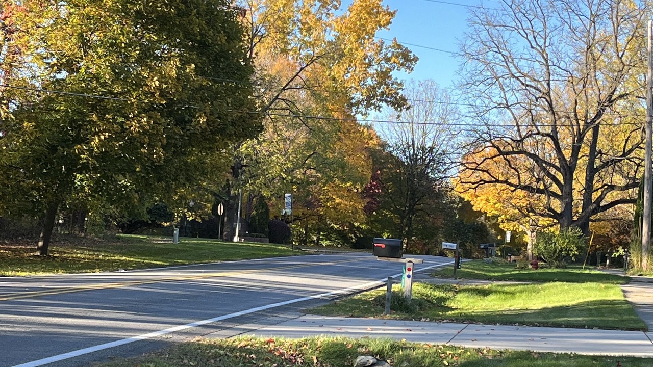 Photo of Outdoor in Okemos