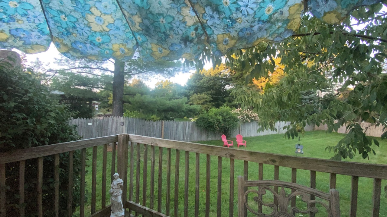Photo of Outdoor in Okemos