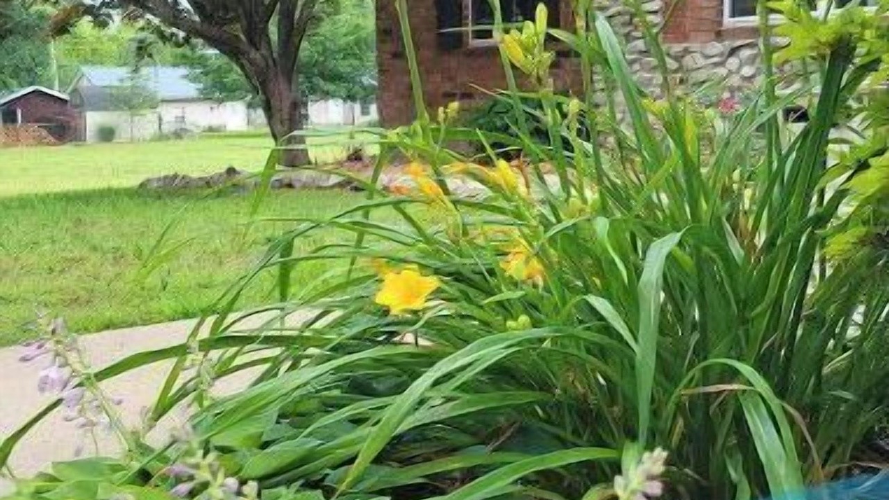 Photo of Outdoor in Carthage