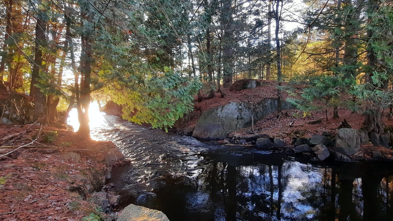 Photo of Outdoor in Wollaston