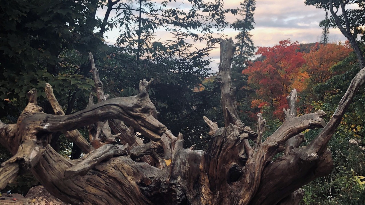 Photo of Outdoor in Wentworth-Nord
