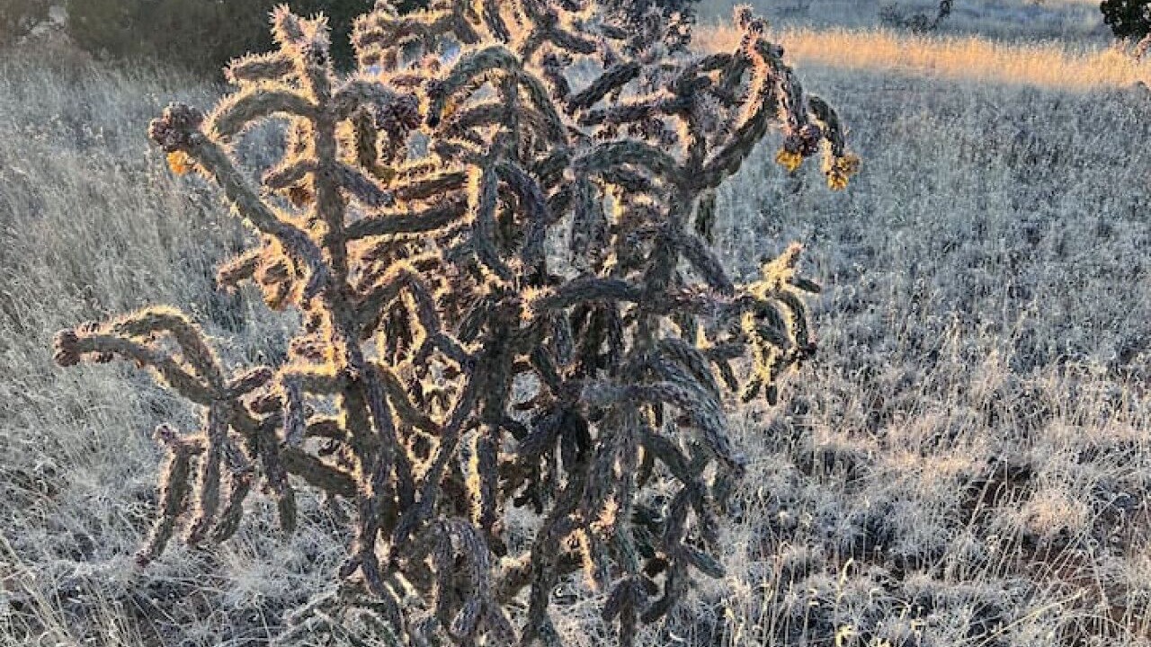 Photo of Others in Eldorado at Santa Fe