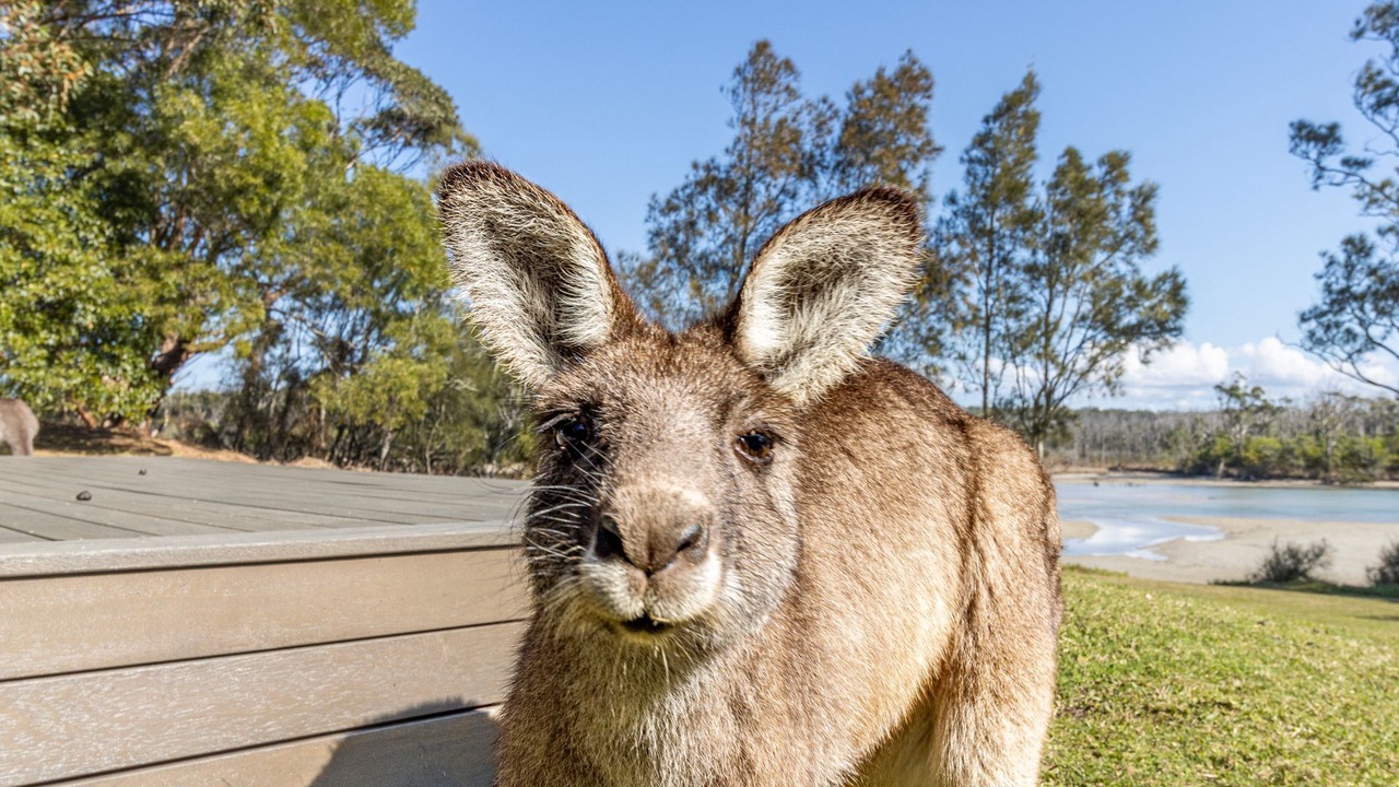 Photo of Outdoor in Berrara