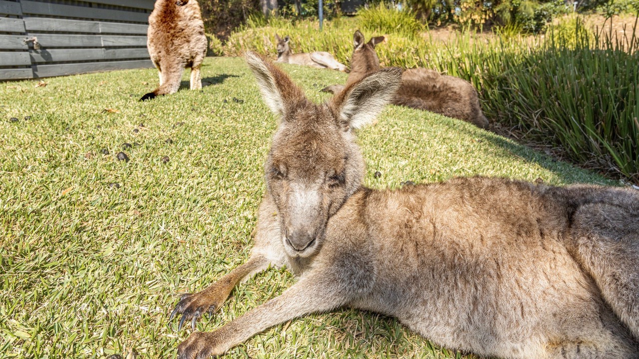 Photo of Outdoor in Berrara
