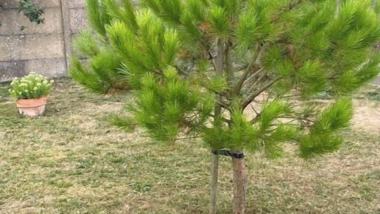 Photo of Outdoor in Bourcefranc-le-Chapus