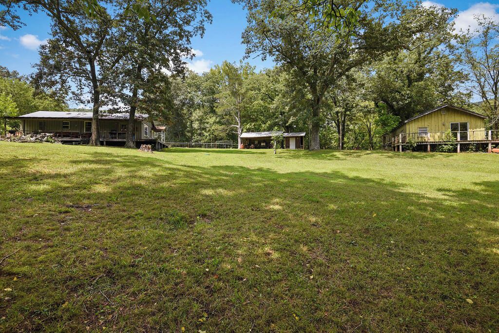 Photo of Outdoor in Deer