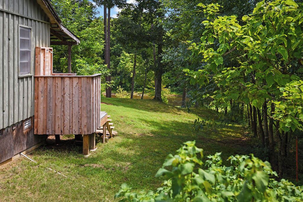 Photo of Outdoor in Deer