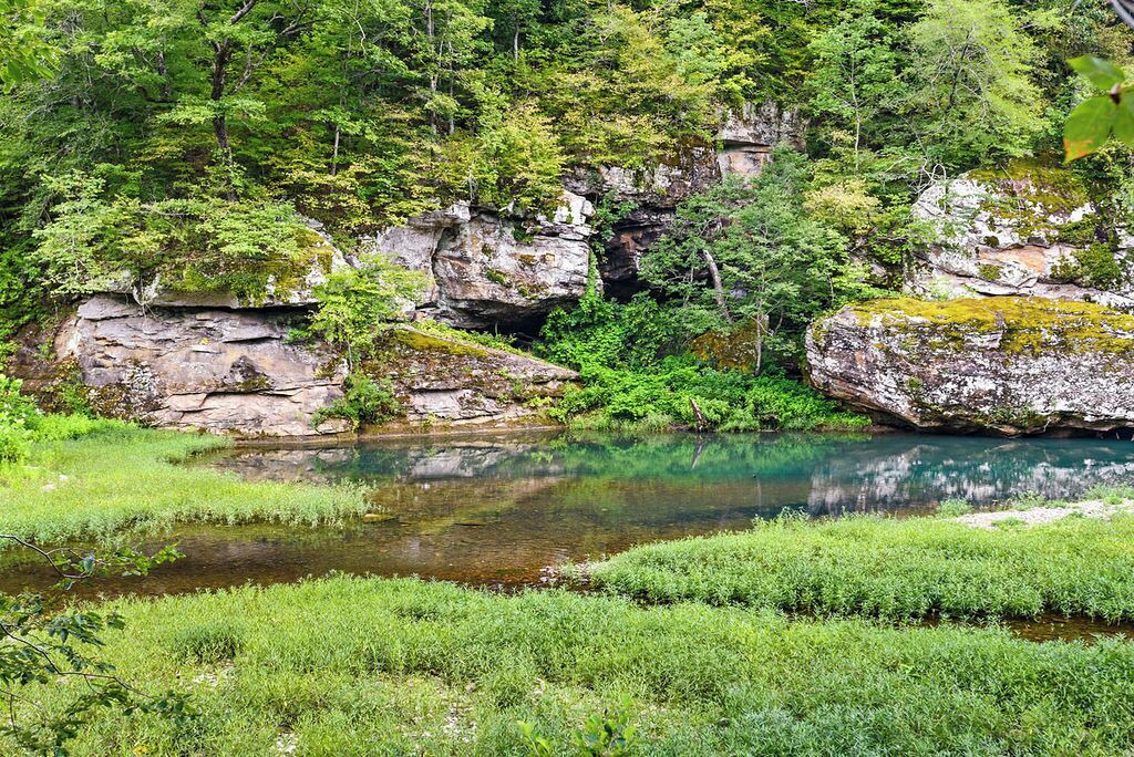 Photo of Outdoor in Deer