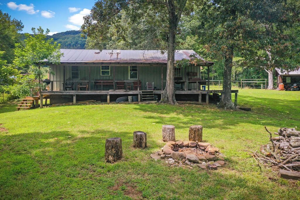 Photo of Outdoor in Deer