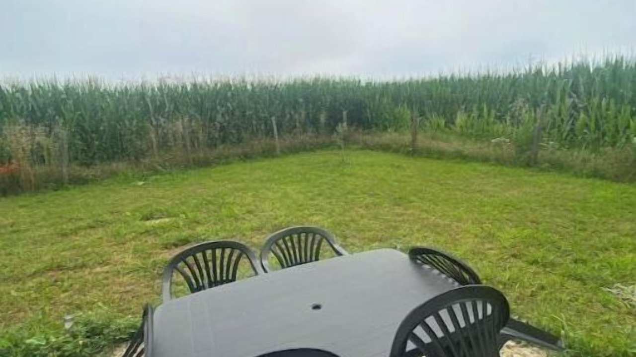 Photo of Outdoor in Marennes