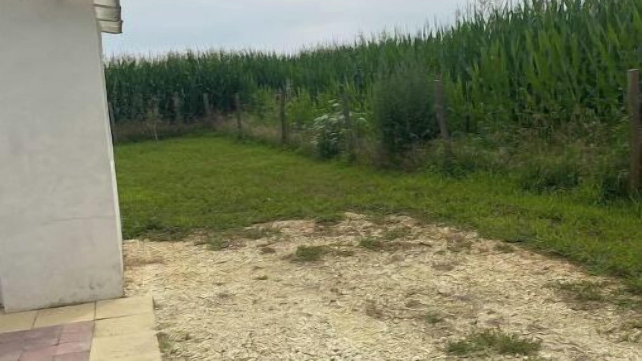 Photo of Outdoor in Marennes