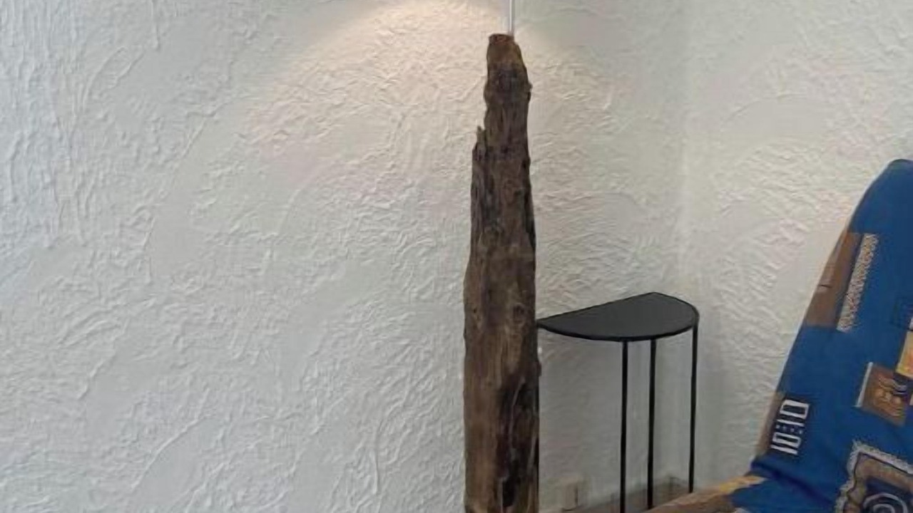 Photo of Others in Marennes