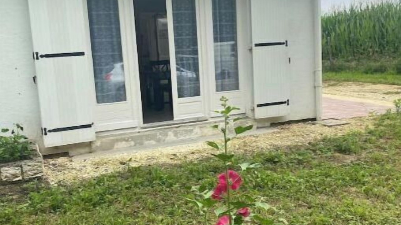 Photo of Outdoor in Marennes